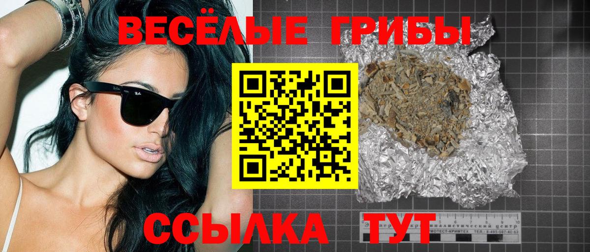 Псилоцибиновые грибы Magic Shrooms  Вход с VPN  Туапсе  Псилоцибиновые грибы Psilocybe 