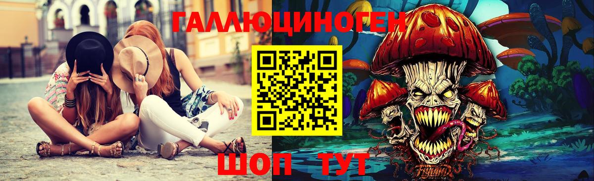 Галлюциногенные грибы Psilocybe Туапсе